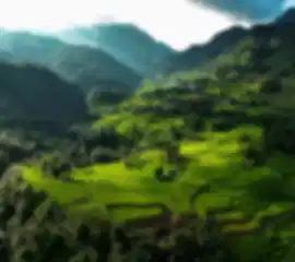 Danang 3-Night City Break – Beach & City Escape