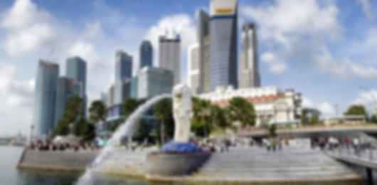 Singapore Spectra Nature, Thrills and Night Wonders Journey