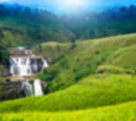 Idyllic 8 Days Tour Package to Sri Lanka for Couple