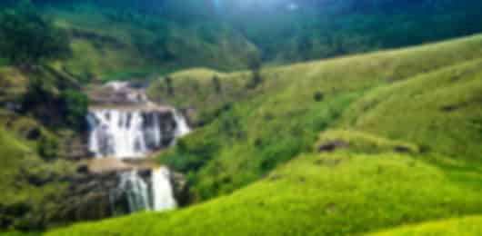 Idyllic 8 Days Tour Package to Sri Lanka for Couple