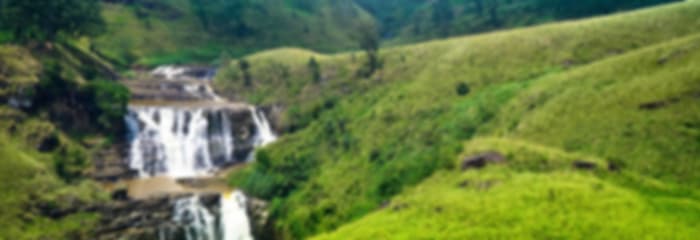 Idyllic 8 Days Tour Package to Sri Lanka for Couple