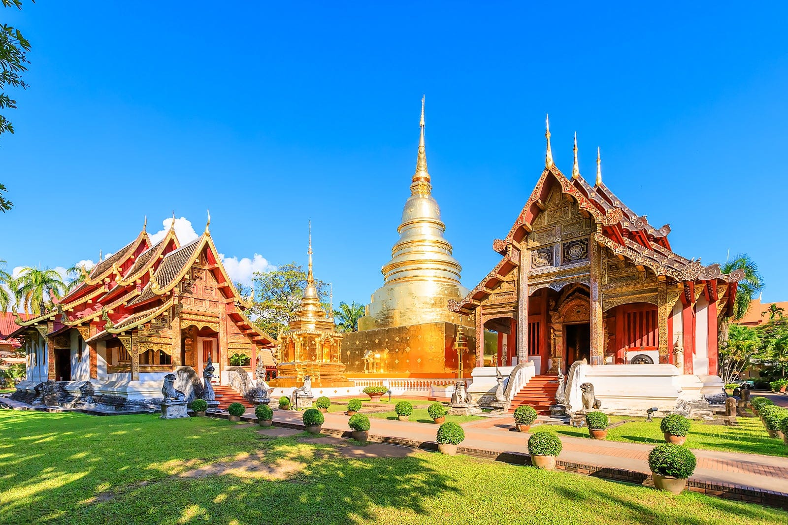 Chiang Mai & Bangkok: 5 Days of Temples, Nature, and Wildlife Adventures