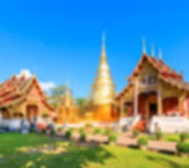 Chiang Mai & Bangkok: 5 Days of Temples, Nature, and Wildlife Adventures