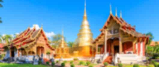 Chiang Mai & Bangkok: 5 Days of Temples, Nature, and Wildlife Adventures