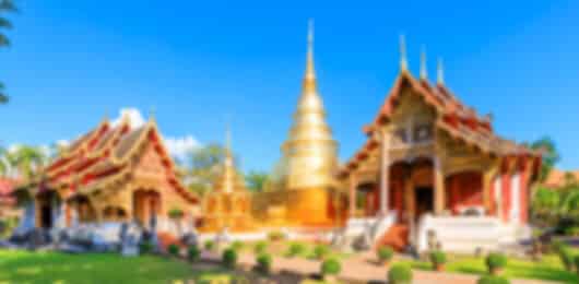 Chiang Mai & Bangkok: 5 Days of Temples, Nature, and Wildlife Adventures
