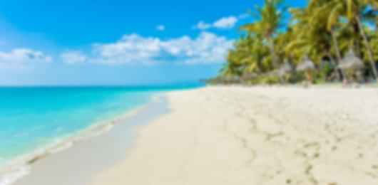 Soulful Stays: A Mindful 6-Night Journey at SALT of Palmar