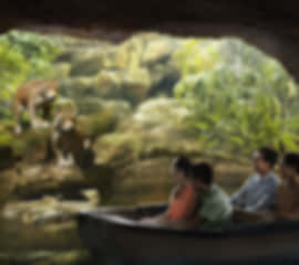 Singapore with Sentosa Adventure- 5 Nights