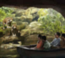 Singapore with Sentosa Adventure- 5 Nights