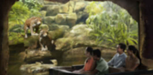 Singapore with Sentosa Adventure- 5 Nights