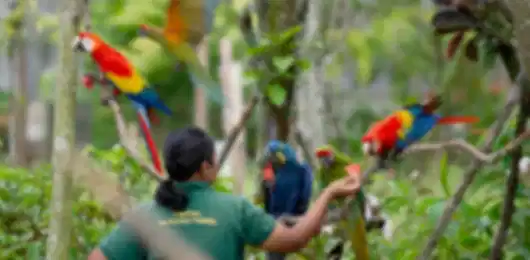 Ultimate 4 Nights Singapore Plan: Wildlife, City & Island Fun