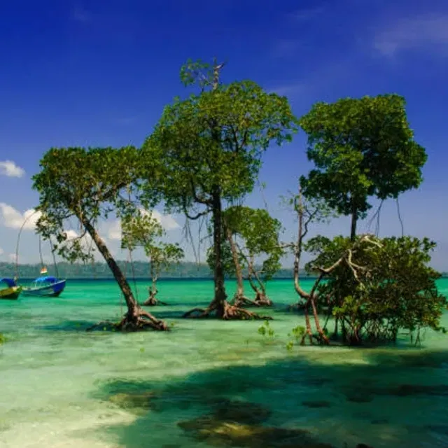 Pure Romance: Luxury Leisure Honeymoon (No Rush)