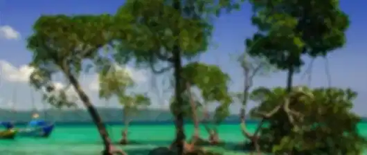 Pure Romance: Luxury Leisure Honeymoon (No Rush)