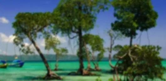 Pure Romance: Luxury Leisure Honeymoon (No Rush)