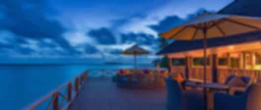 Secluded Paradise: Dhigufaru Island Resort
