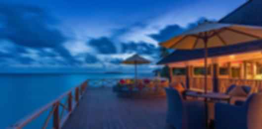 Secluded Paradise: Dhigufaru Island Resort
