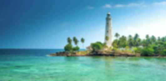 Unforgettable Sri Lanka Trip Packages For 5 Nights