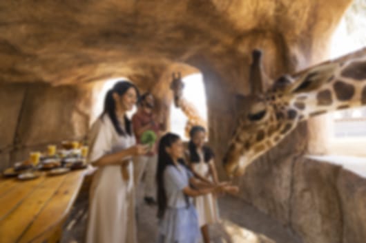Ultimate Family Fun in Abu Dhabi