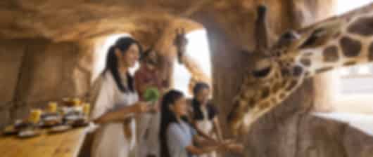 Ultimate Family Fun in Abu Dhabi