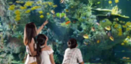Singapore Sentosa Cable Car Sea Aquarium Adventure