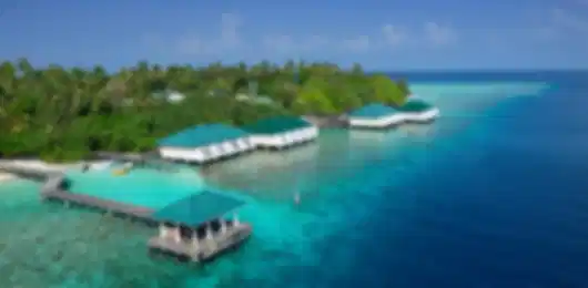Reef, Barefoot Bliss at Embudu Maldives