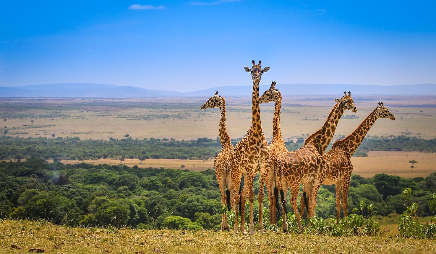 Kenya's Golden triangle - 9 Nights of Safari and Wonder 