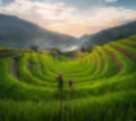 Hanoi (3N) & Danang (3N) Tour – Complete Vietnam Experience