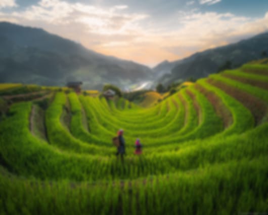 Hanoi (3N) & Danang (3N) Tour – Complete Vietnam Experience