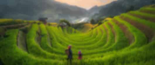 Hanoi (3N) & Danang (3N) Tour – Complete Vietnam Experience