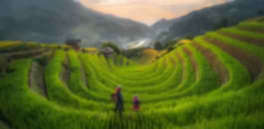 Hanoi (3N) & Danang (3N) Tour – Complete Vietnam Experience