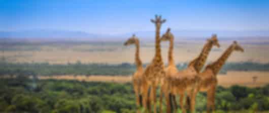 Kenya's Golden triangle - 9 Nights of Safari and Wonder