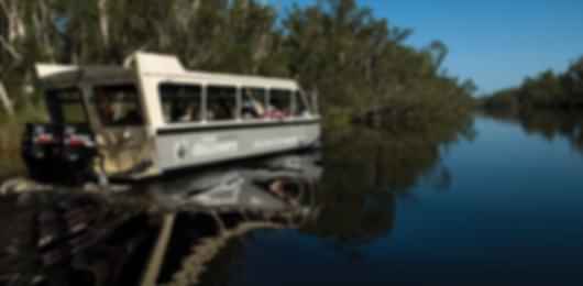 Queensland with Kids: City Fun & Coastal Thrills