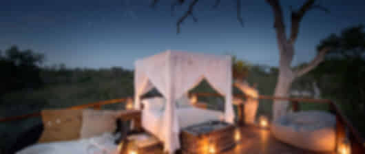 Romantic Safari-to-Shore Experience