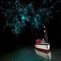 Fall in love deeper admiring the best of Auckland and Rotorua