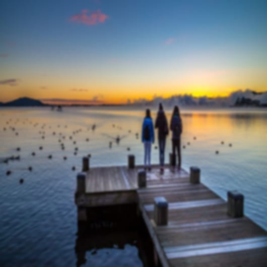 Complete package from Auckland to Queenstown in 15 nights for an NZ explorer