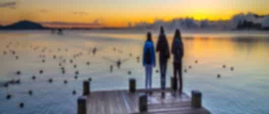Complete package from Auckland to Queenstown in 15 nights for an NZ explorer