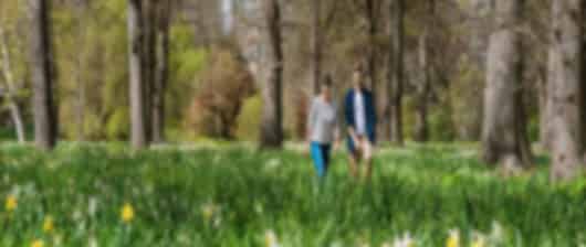An all inclusive Kiwi love package to rekindle some romance