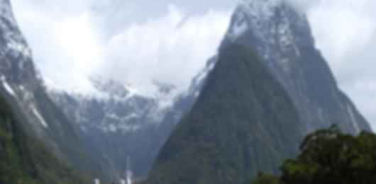 Kiwi Love: Crafted for the love digger in you