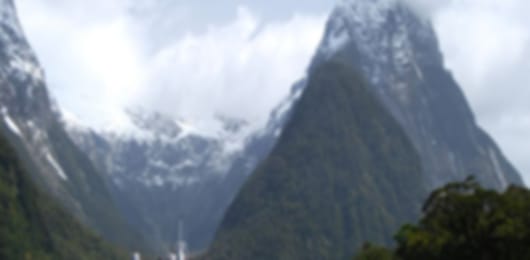 Kiwi Love: Crafted for the love digger in you