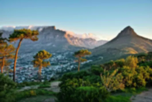 A Bewitching South Africa, Cape Town Tours Packages