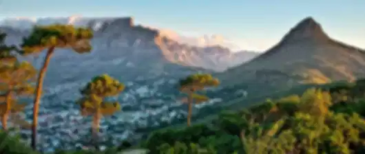 A Bewitching South Africa, Cape Town Tours Packages