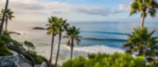 California Coastline Adventure: Family Fun in San Diego and Los Angeles