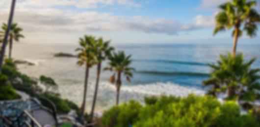 California Coastline Adventure: Family Fun in San Diego and Los Angeles