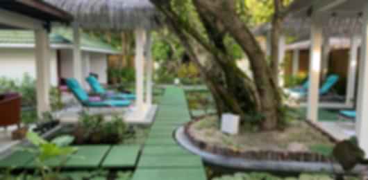 4 Nights Stay at Coco Bodu Hithi with Pvt. Pool