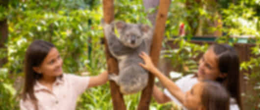 Beauty overloaded : A 3 night Gold Coast itinerary