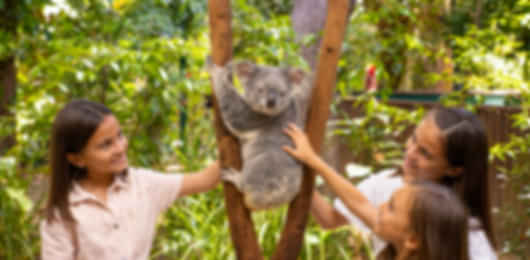 Beauty overloaded : A 3 night Gold Coast itinerary