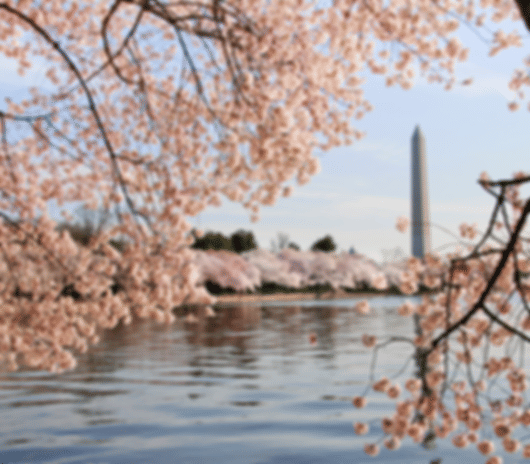 A 13 night trip to incredible USA