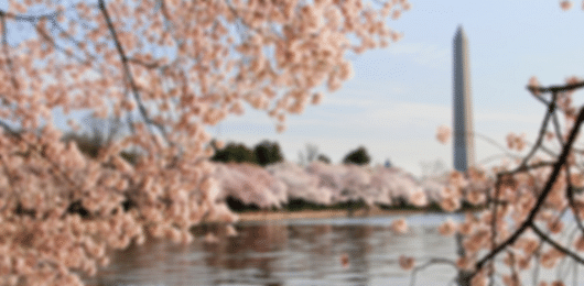 A 13 night trip to incredible USA