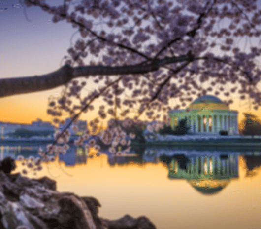 Beautiful 14 day USA itinerary for the Solo travellers