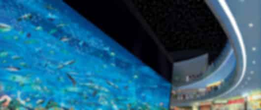 Amazing Dubai travel for 3 nights at budget rates
