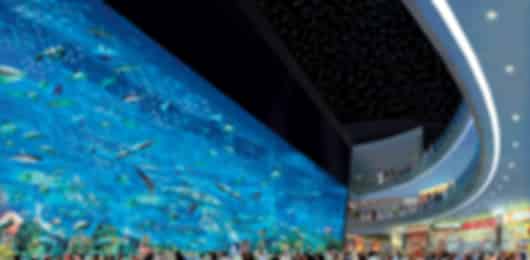 Amazing Dubai travel for 3 nights at budget rates